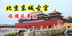 插小屄视频中国北京-东城古宫旅游风景区